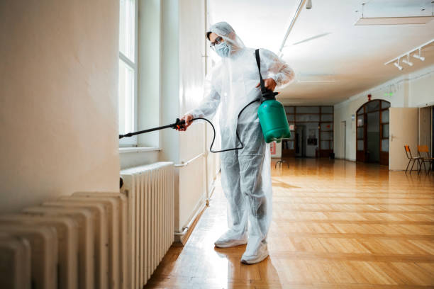 Best Pest Prevention Services  in Rock Valley, IA
